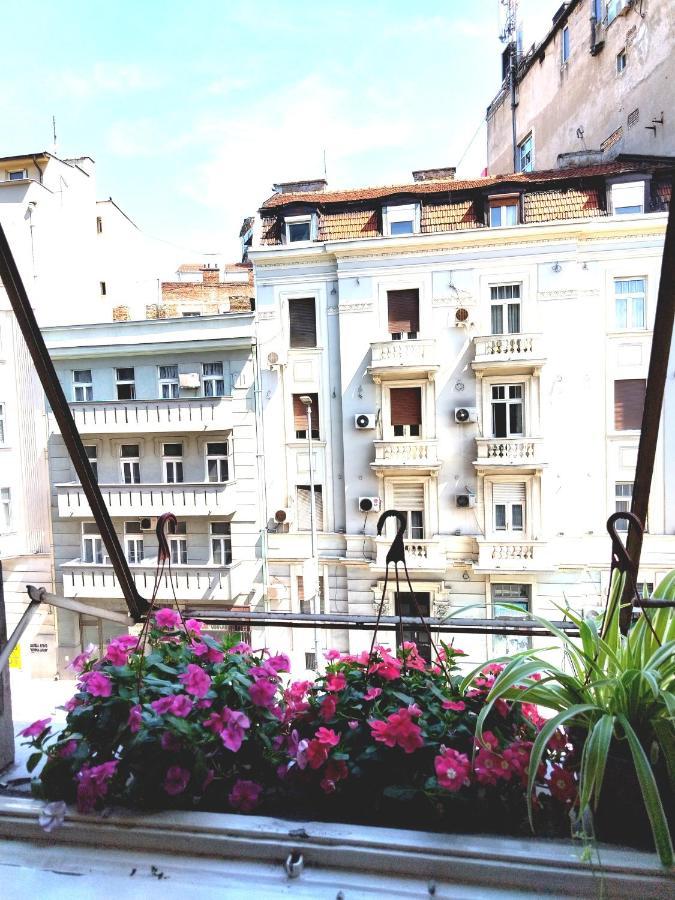 Monica'S House Vandrarhem Belgrad Exteriör bild